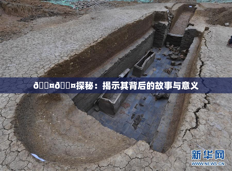 🐤🐤探秘：揭示其背后的故事与意义