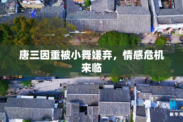 唐三因重被小舞嫌弃，情感危机来临