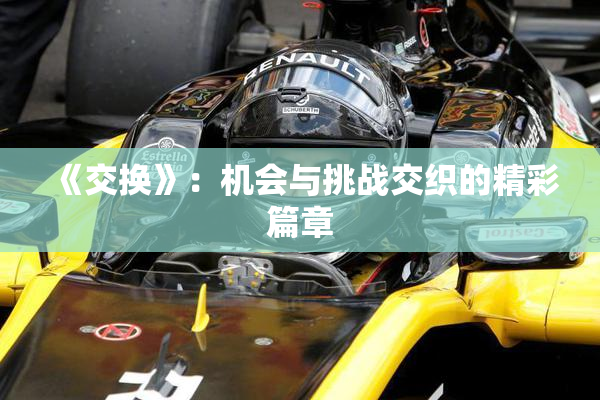 《交换》：机会与挑战交织的精彩篇章