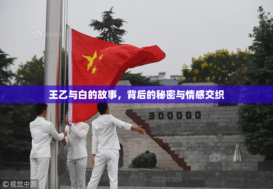 王乙与白的故事，背后的秘密与情感交织