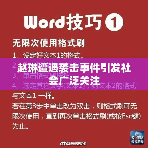 赵琳遭遇袭击事件引发社会广泛关注