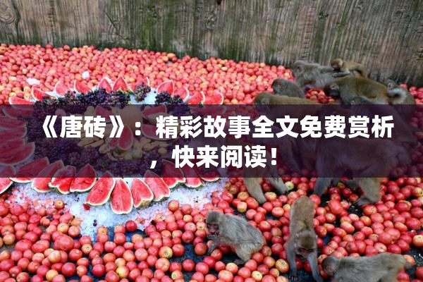 《唐砖》：精彩故事全文免费赏析，快来阅读！
