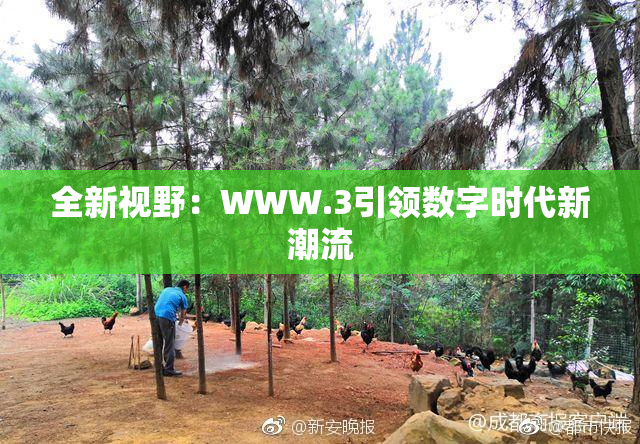 全新视野：WWW.3引领数字时代新潮流