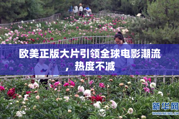 欧美正版大片引领全球电影潮流，热度不减