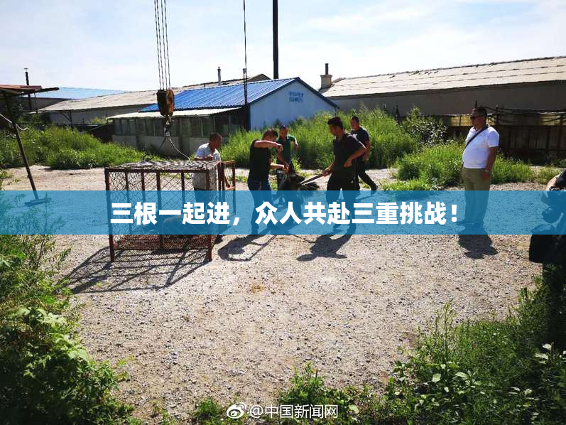 三根一起进，众人共赴三重挑战！