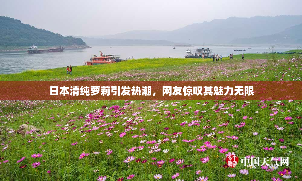 日本清纯萝莉引发热潮，网友惊叹其魅力无限