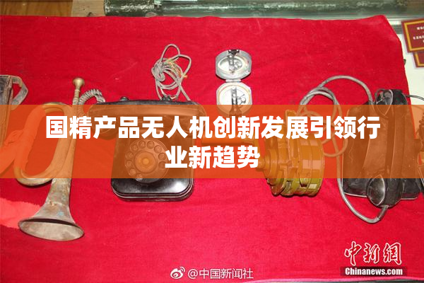 国精产品无人机创新发展引领行业新趋势