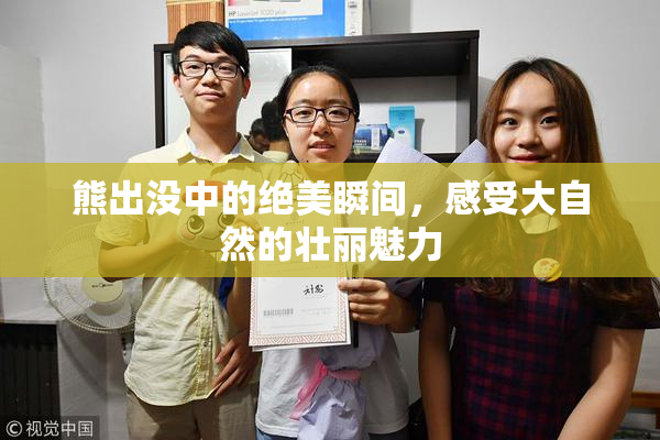 熊出没中的绝美瞬间，感受大自然的壮丽魅力