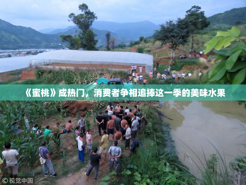 《蜜桃》成热门，消费者争相追捧这一季的美味水果