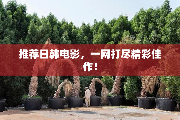 推荐日韩电影，一网打尽精彩佳作！