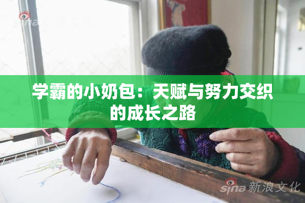 学霸的小奶包：天赋与努力交织的成长之路