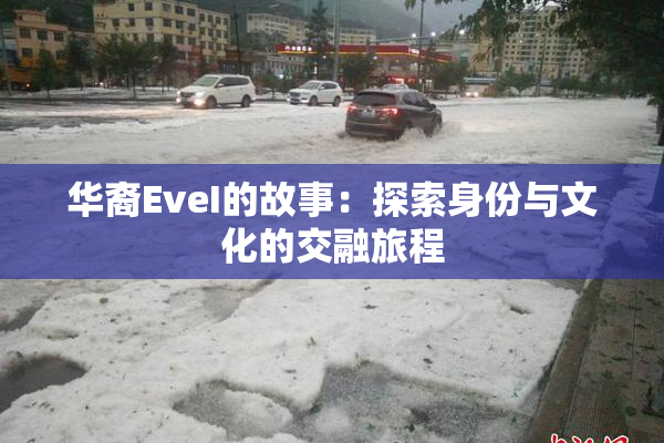 华裔EveI的故事：探索身份与文化的交融旅程