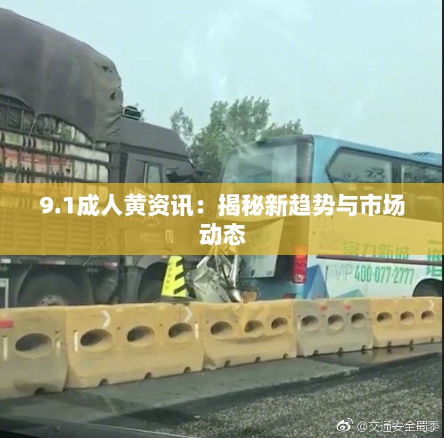 9.1成人黄资讯：揭秘新趋势与市场动态