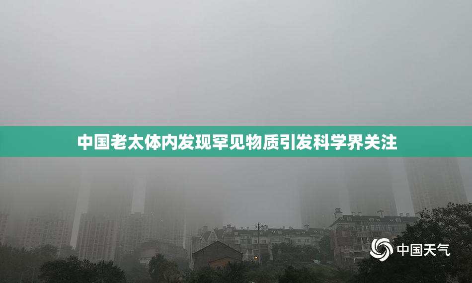 中国老太体内发现罕见物质引发科学界关注