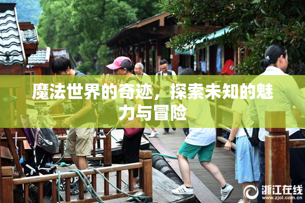魔法世界的奇迹，探索未知的魅力与冒险