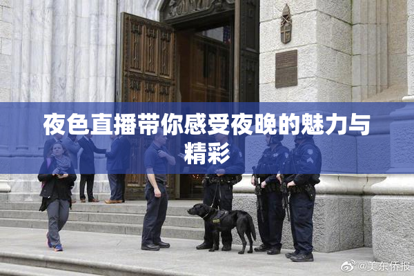 夜色直播带你感受夜晚的魅力与精彩