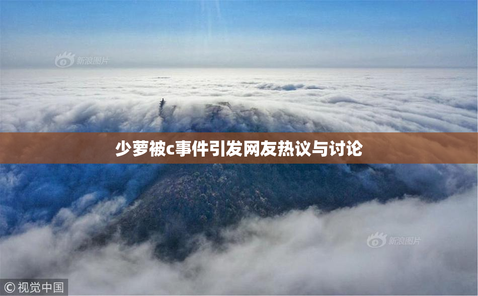 少萝被c事件引发网友热议与讨论