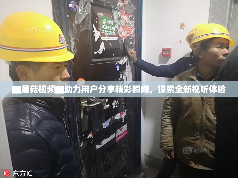 ▇蘑菇视频▇助力用户分享精彩瞬间，探索全新视听体验