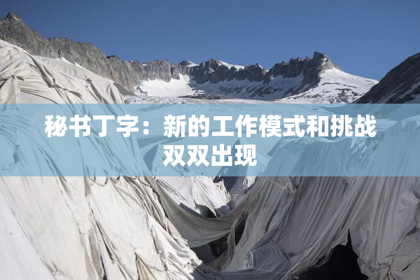 秘书丁字：新的工作模式和挑战双双出现