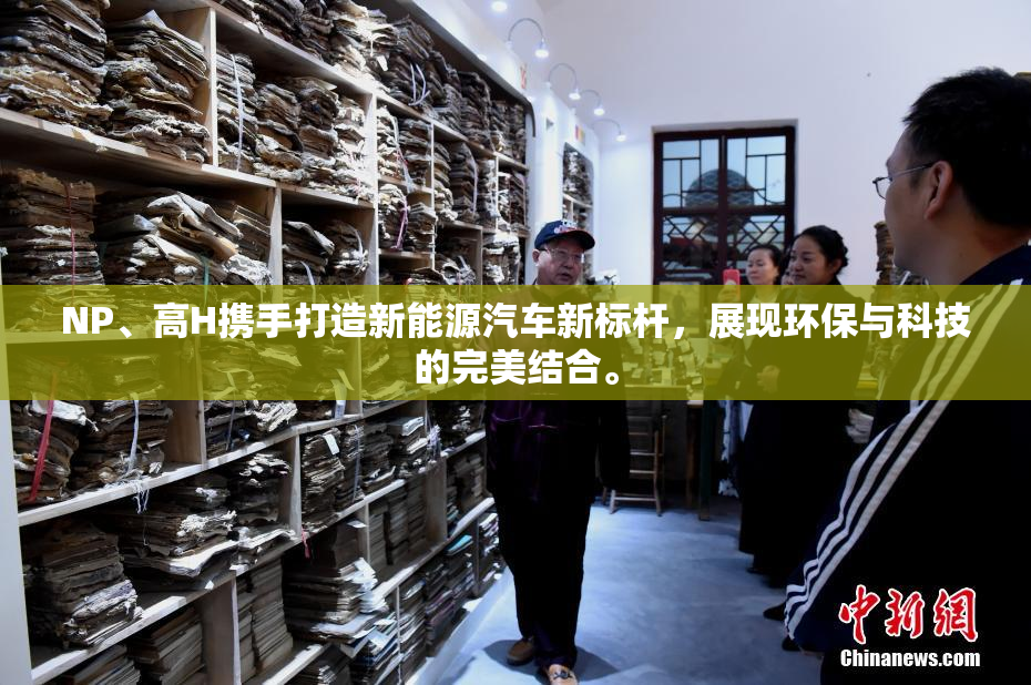 NP、高H携手打造新能源汽车新标杆，展现环保与科技的完美结合。