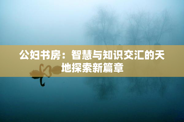 公妇书房：智慧与知识交汇的天地探索新篇章