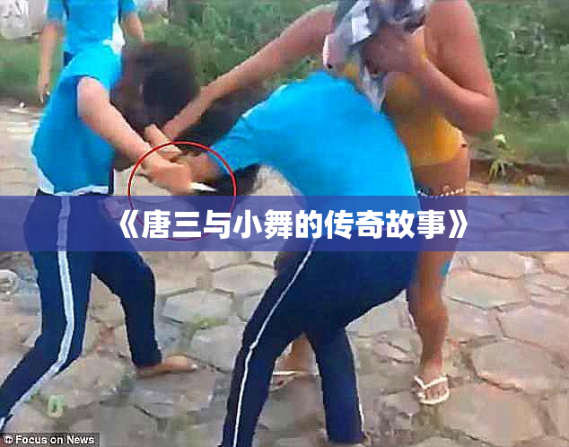 《唐三与小舞的传奇故事》