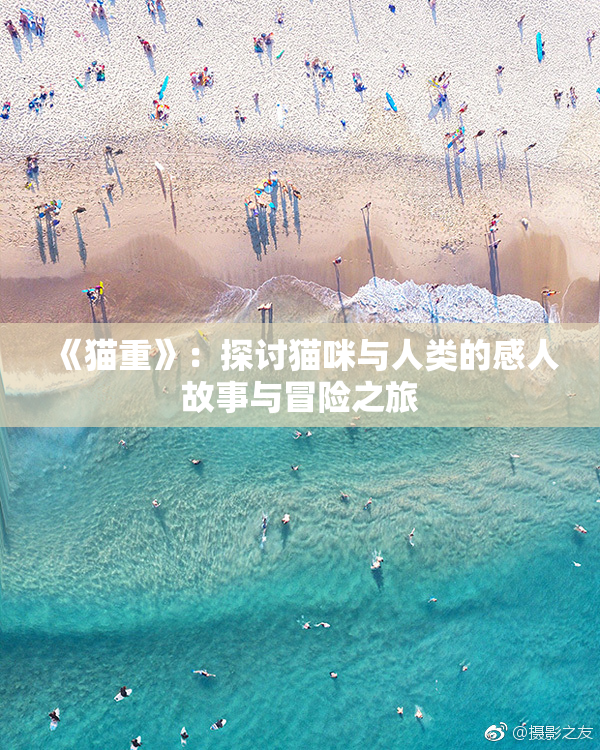 《猫重》：探讨猫咪与人类的感人故事与冒险之旅