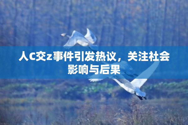 人C交z事件引发热议，关注社会影响与后果
