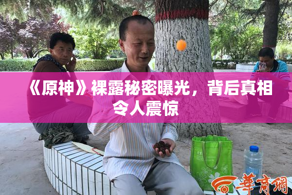 《原神》裸露秘密曝光，背后真相令人震惊