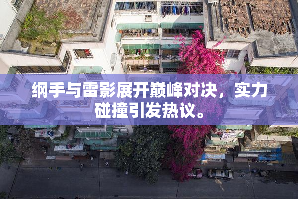 纲手与雷影展开巅峰对决，实力碰撞引发热议。