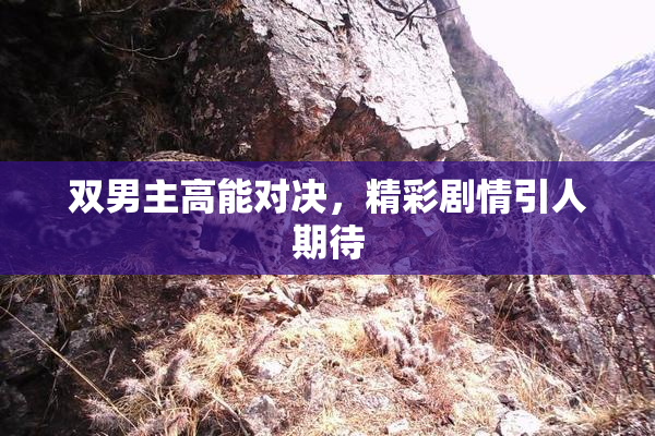 双男主高能对决，精彩剧情引人期待