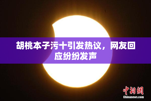 胡桃本子污十引发热议，网友回应纷纷发声