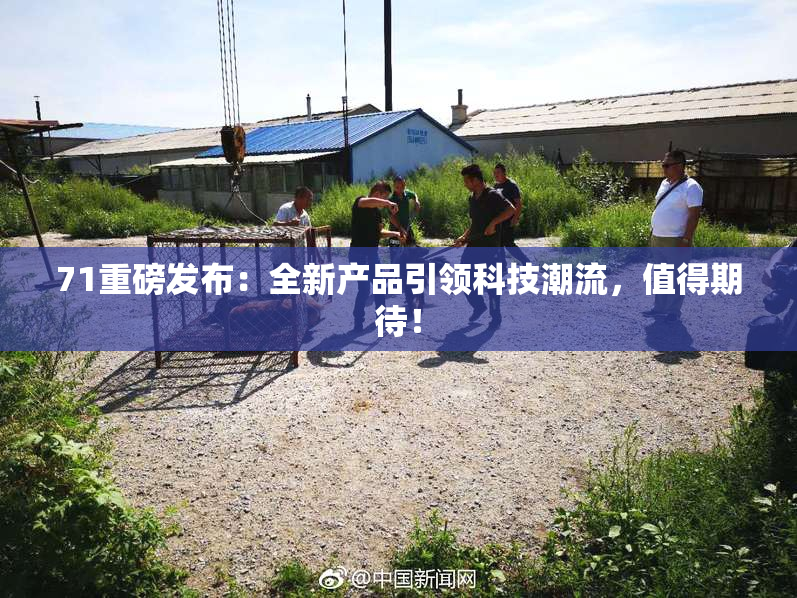 71重磅发布：全新产品引领科技潮流，值得期待！