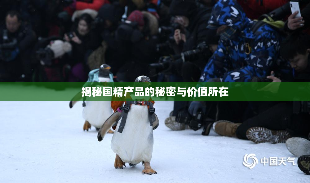 揭秘国精产品的秘密与价值所在