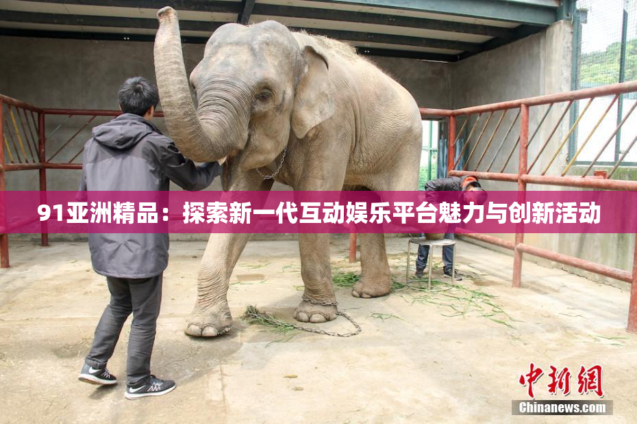 91亚洲精品：探索新一代互动娱乐平台魅力与创新活动