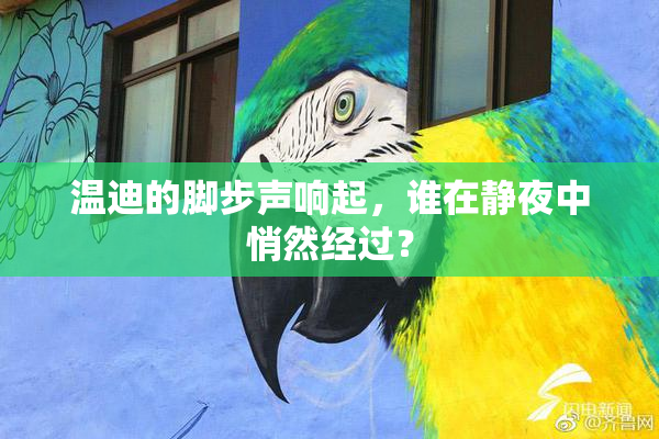 温迪的脚步声响起，谁在静夜中悄然经过？