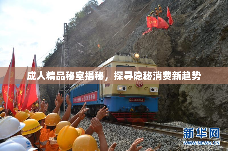 成人精品秘室揭秘，探寻隐秘消费新趋势