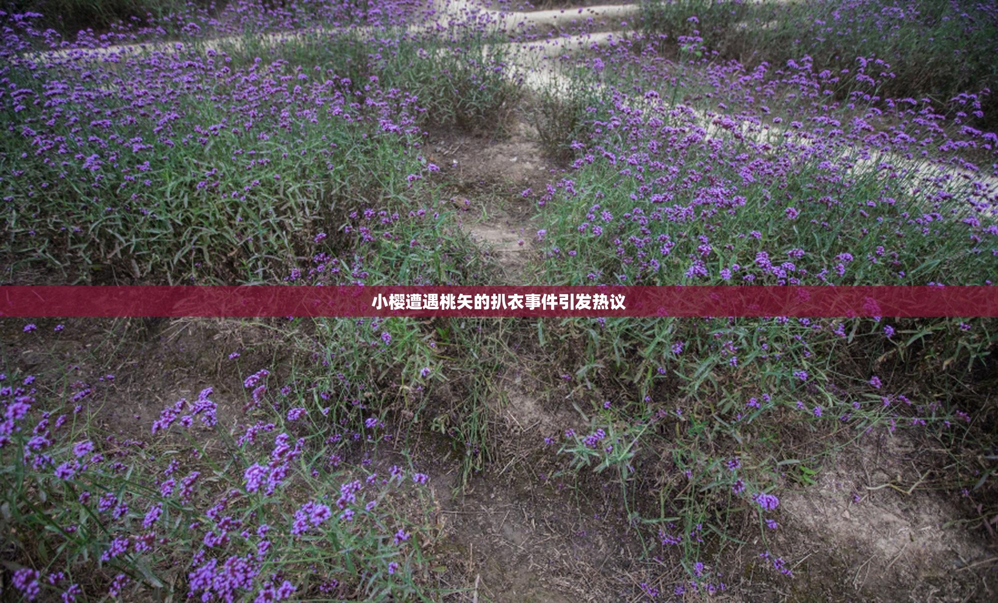 小樱遭遇桃矢的扒衣事件引发热议