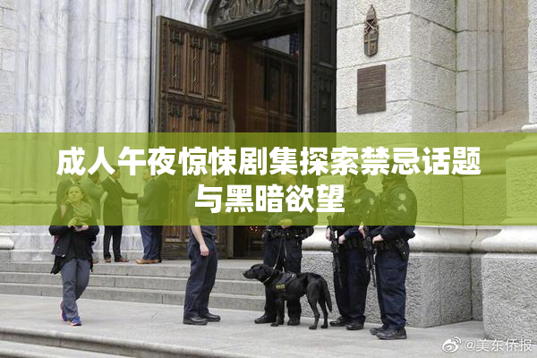 成人午夜惊悚剧集探索禁忌话题与黑暗欲望