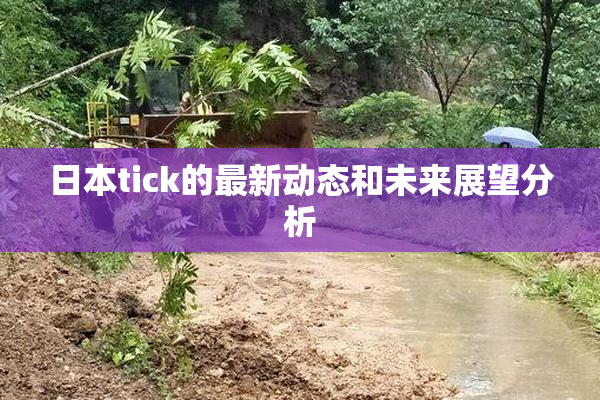 日本tick的最新动态和未来展望分析
