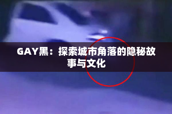 GAY黑：探索城市角落的隐秘故事与文化