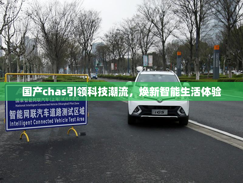 国产chas引领科技潮流，焕新智能生活体验