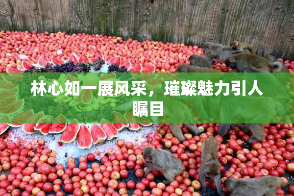 林心如一展风采，璀璨魅力引人瞩目