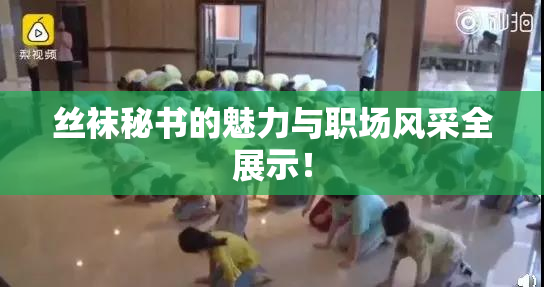 丝袜秘书的魅力与职场风采全展示！