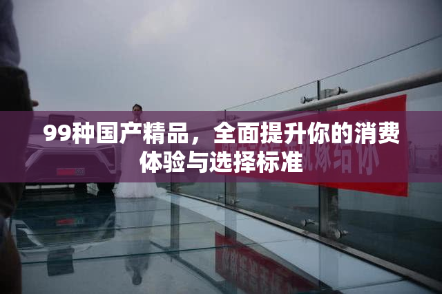 99种国产精品，全面提升你的消费体验与选择标准