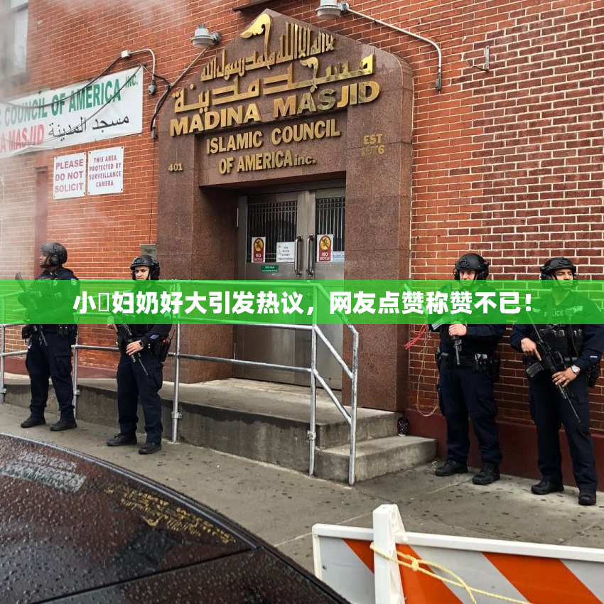 小婬妇奶好大引发热议，网友点赞称赞不已！