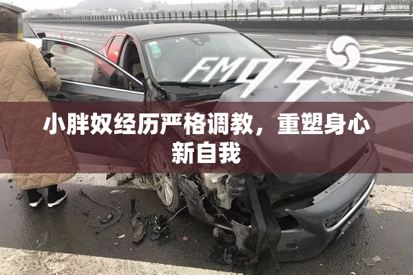 小胖奴经历严格调教，重塑身心新自我