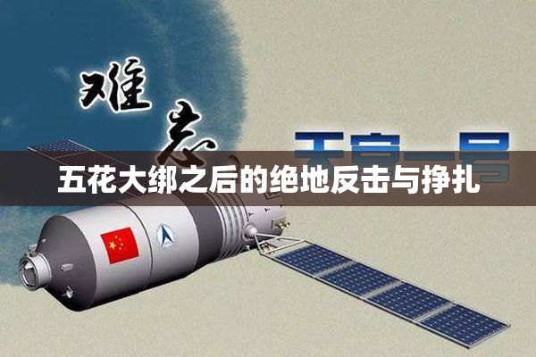 五花大绑之后的绝地反击与挣扎
