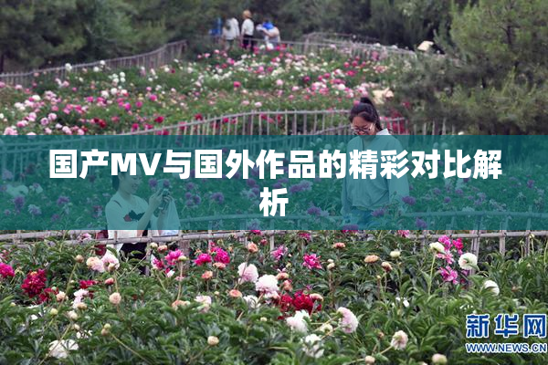 国产MV与国外作品的精彩对比解析