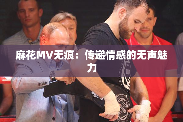 麻花MV无痕：传递情感的无声魅力